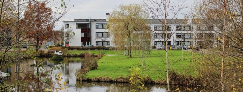 Achterberg - Huis in de Wei Scherpenzeel